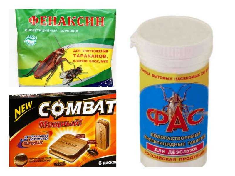 Как избавиться от тараканов в квартире навсегда: химические препараты и народные средства