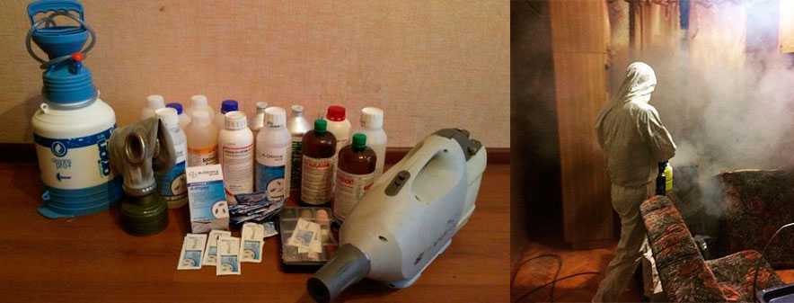 Холодный туман от клопов: отзывы, инструкция по применению и эффективность