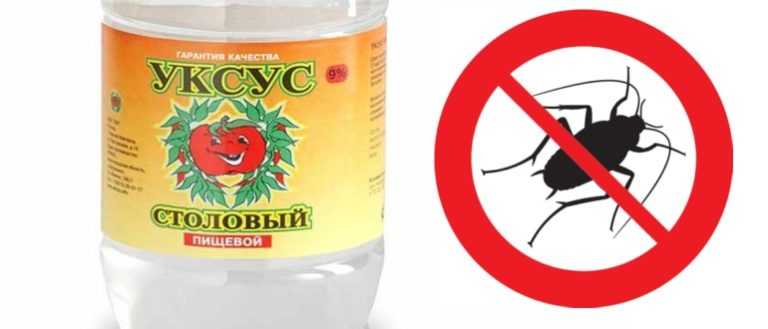 Чего больше всего боятся тараканы? какой запах отпугивает?