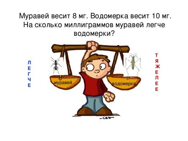 Какой вес способен поднять муравей, сколько он весит, в чём причина большой силы муравья