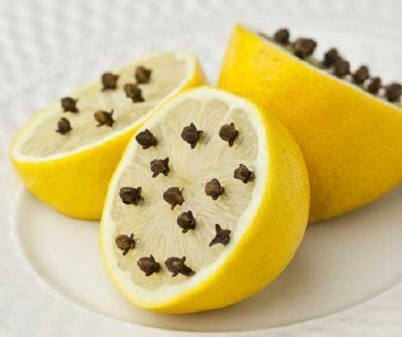 Лимон с гвоздикой от комаров для детей и взрослых