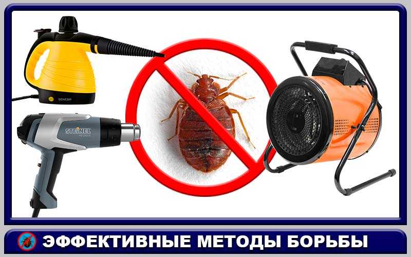 Пароочиститель от клопов - отзывы и инструкция по использованию