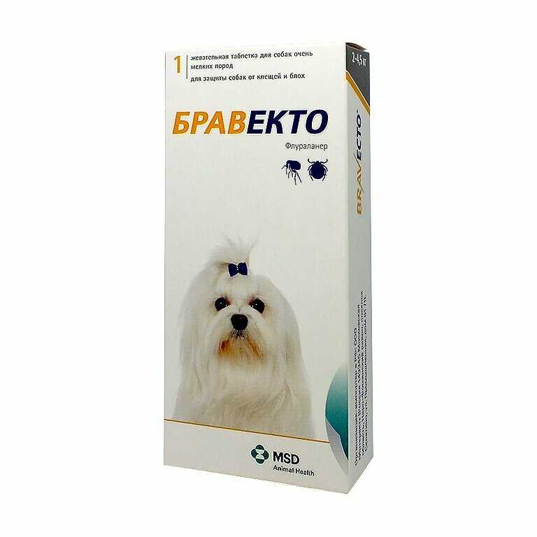 ᐉ народные средства от клещей для собак: полезные рецепты с ванилином, водкой, различными ингредиентами - zoovet24.ru