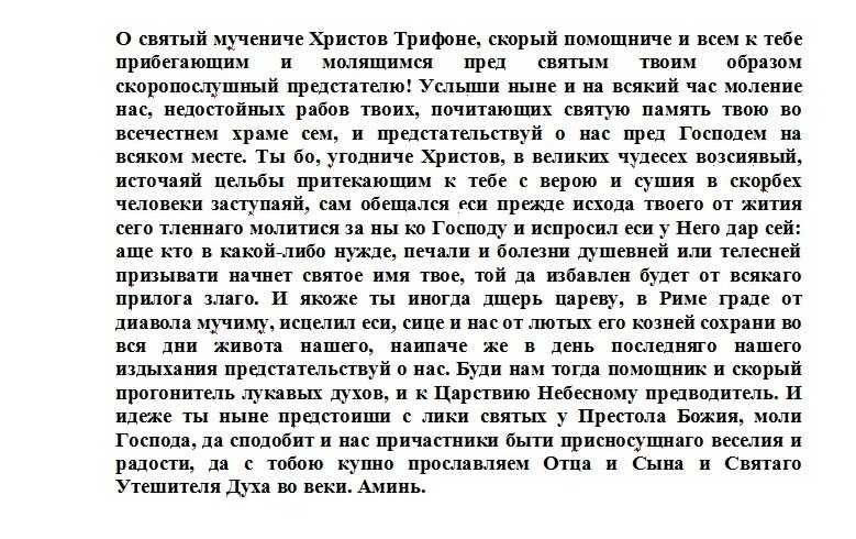 Заговор от тараканов