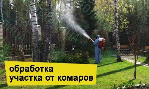 Как избавиться от комаров на даче. обработка участка от комаров