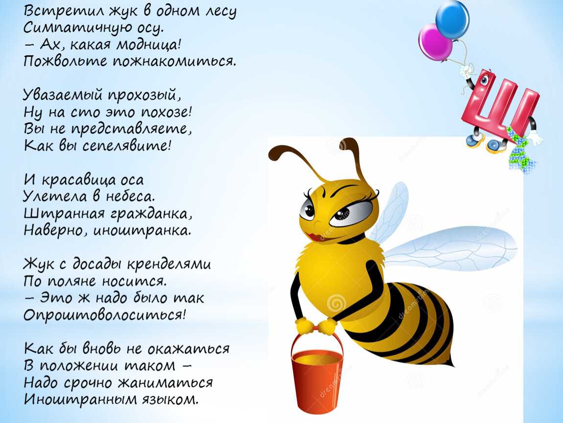 Как оса смотрит на мир