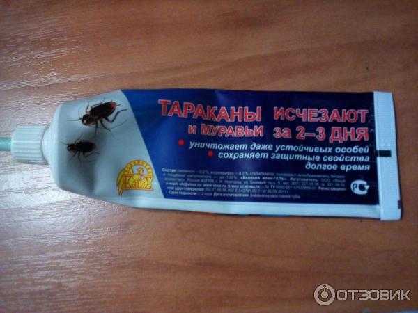 Средство от муравьев и тараканов: гель "великий воин" отзывы и инструкция по применению