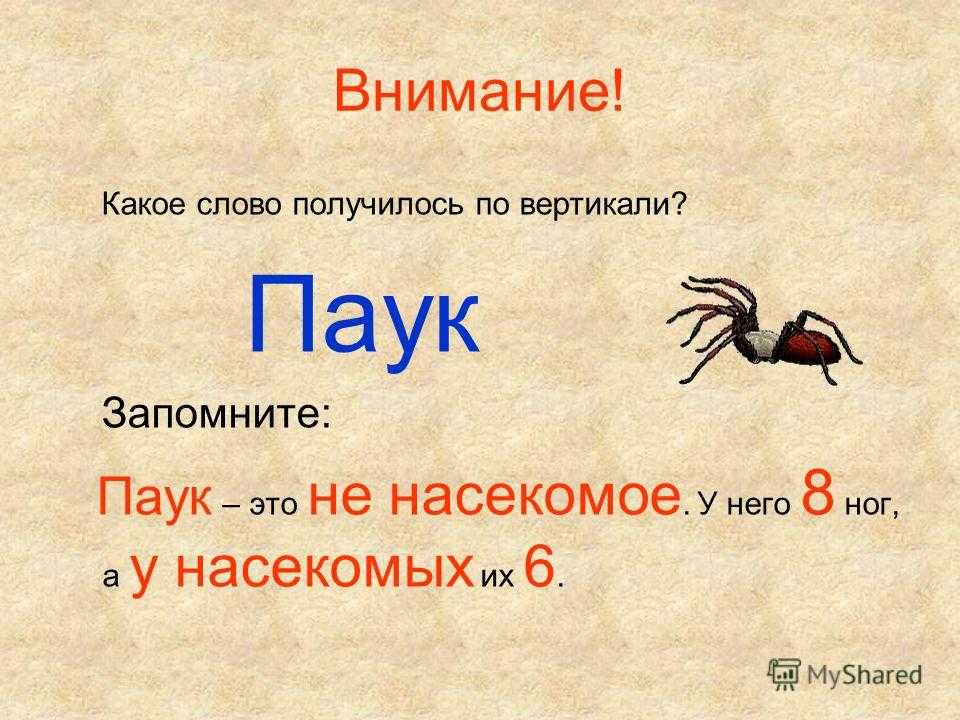 Схема слова паук