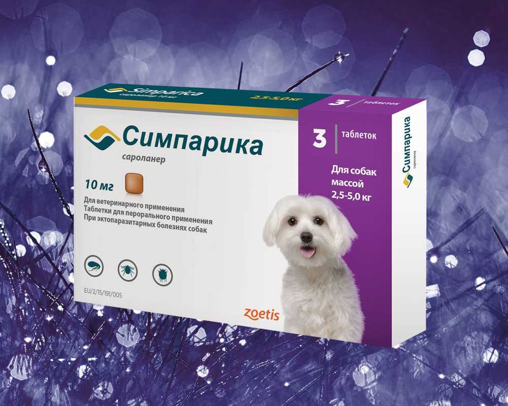 Домашние средства для устранения блох у собак