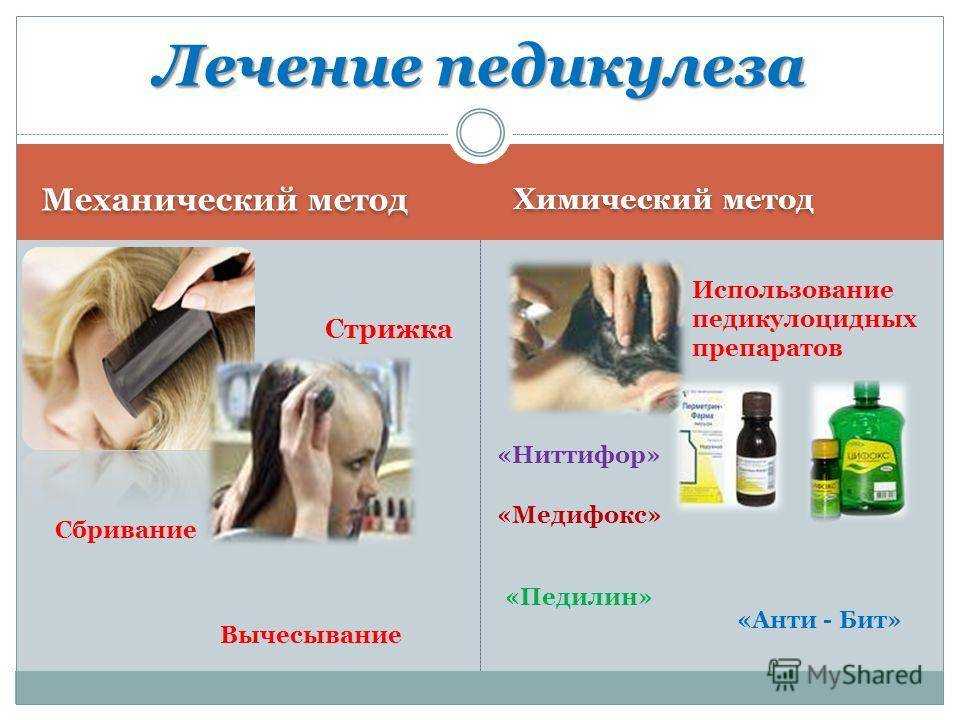 Народные средства при лечении лобкового педикулеза