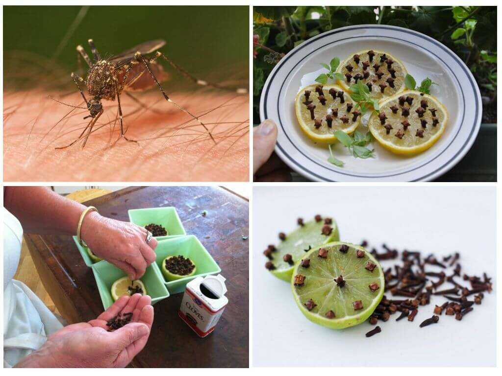 Натуральные средства от насекомых
