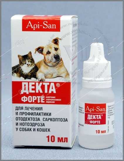 Ушной клещ у кошек: симптомы, лечение, профилактика отодектоза