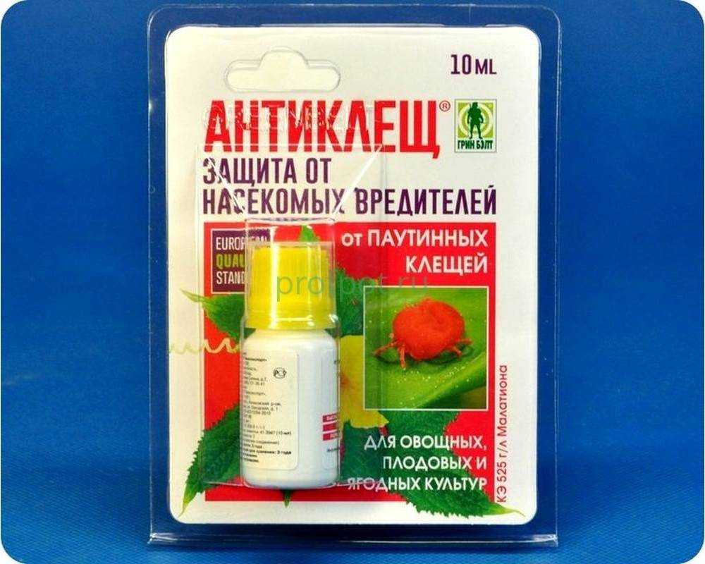 Инсектицид от паутинного клеща. Антиклещ 10 мл. Средство от паутинных клещей. От паутинного клеща на комнатных растениях препараты. Средство от клеща паутинного на растениях.