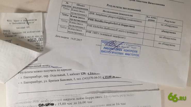 Адреса лабораторий и пунктов профилактики клещевых инфекций » энцефалит.ру