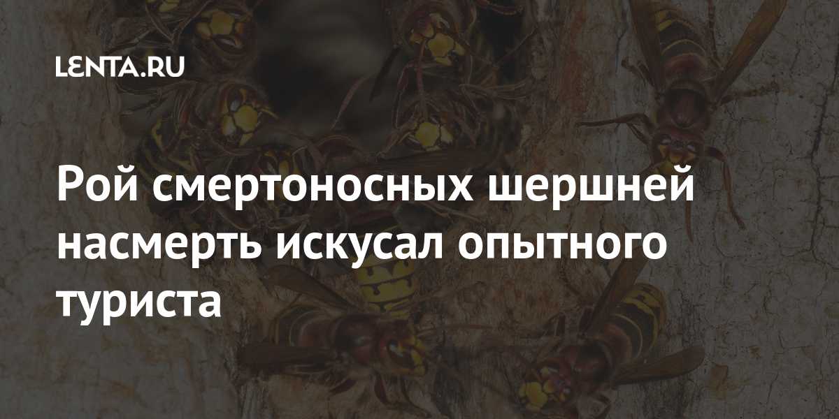 Реакции на ужаления насекомых - как проявляются и что делать?