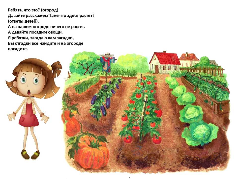 Я вырос в селе. Огород для детей. Огород грядки с овощами. Огород с грядками для детей. Огород рисунок для детей.