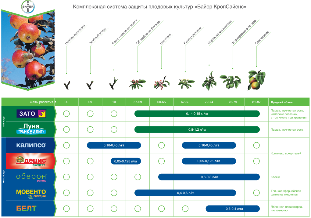 Схема защиты яблони от болезней и вредителей - 98 фото