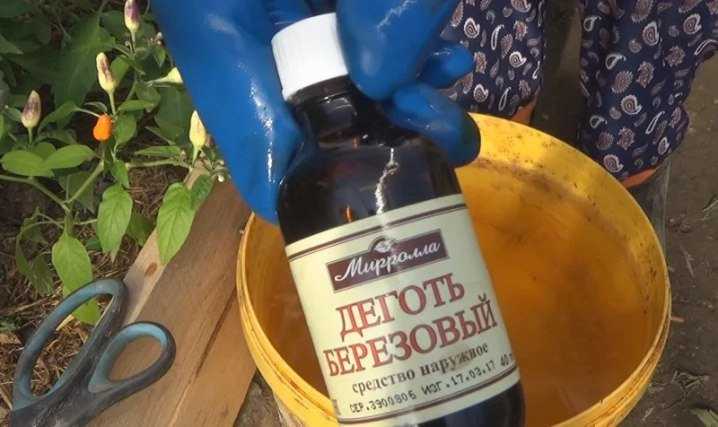 Как бороться с тлей: народные средства, которые работают