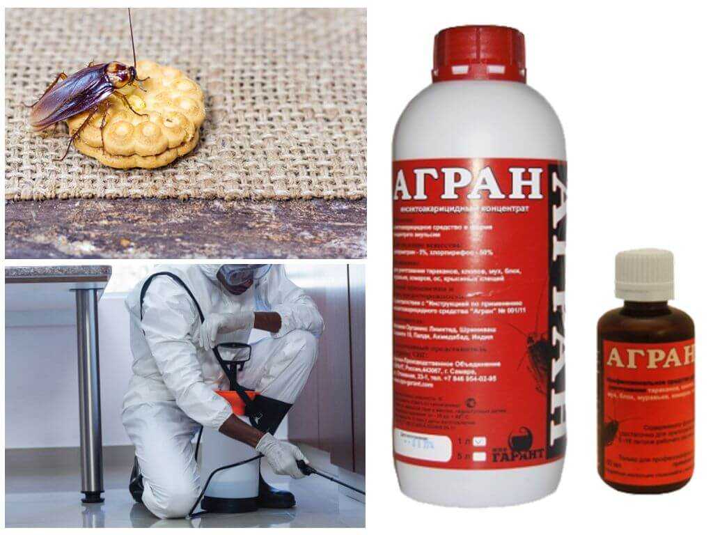 От клопов агран — как действует, инструкция, описание, эффективность