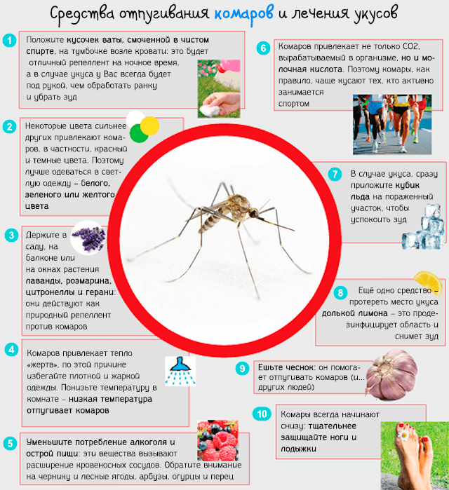 Почему укус комара. Опасные комары.