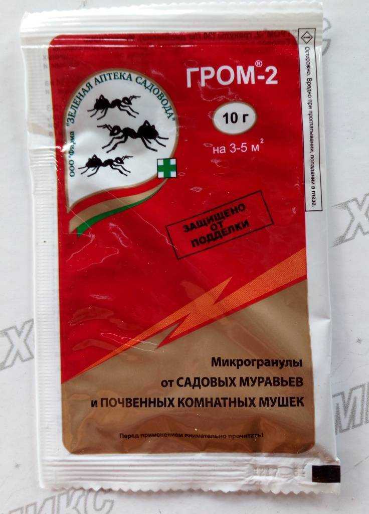 Как прогнать муравьев с участка: профилактика, народные и профессиональные методы борьбы с вредителями