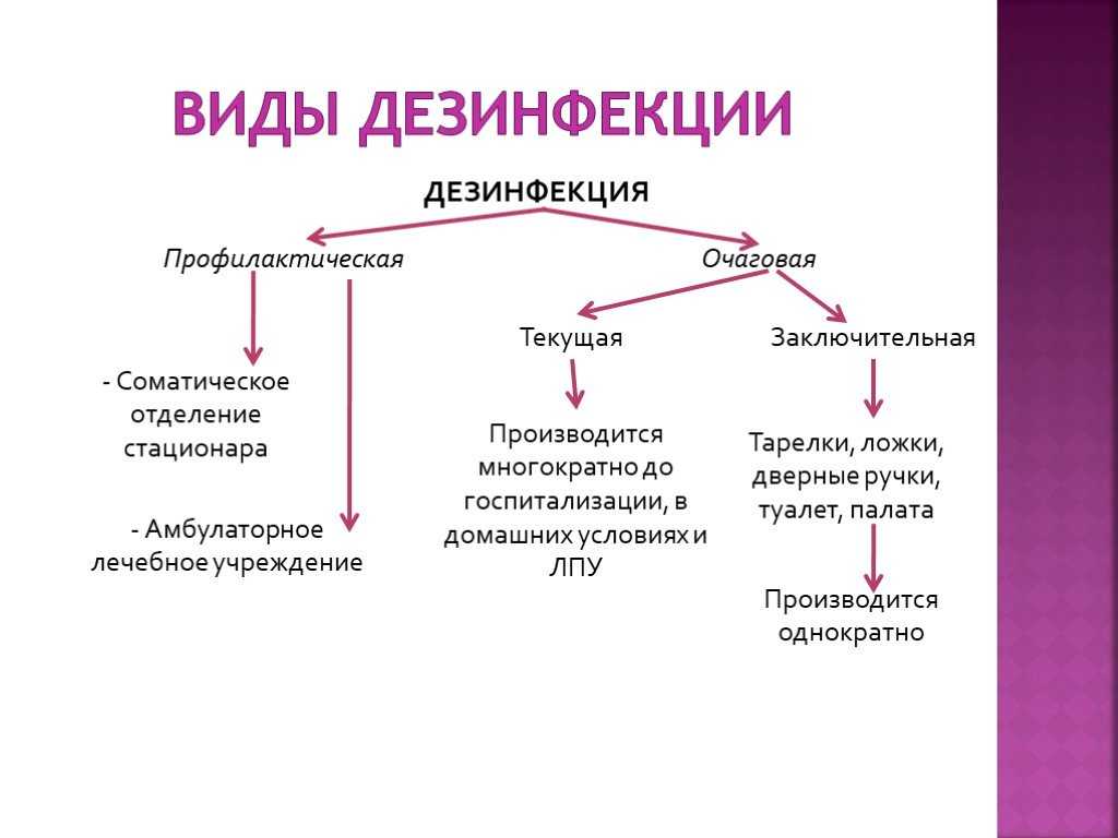 Презентация дезинфекция виды и методы дезинфекции