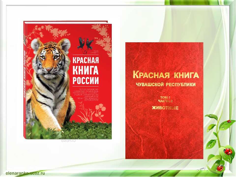 Красная книга изображение