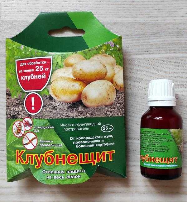 Колорадский жук и эффективные средства борьбы с ним