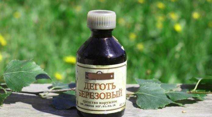 Чего бояться клещи и как защититься от паразитов Атечные препараты, средства для нанесения на одежду и как одеваться при походе в лес Народные средства для животных
