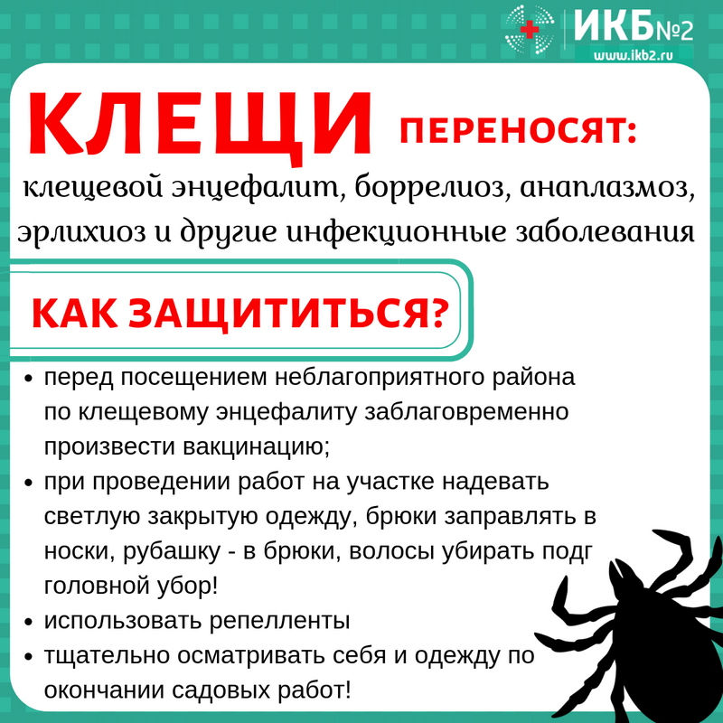 Профилактика клещевых инфекций презентация