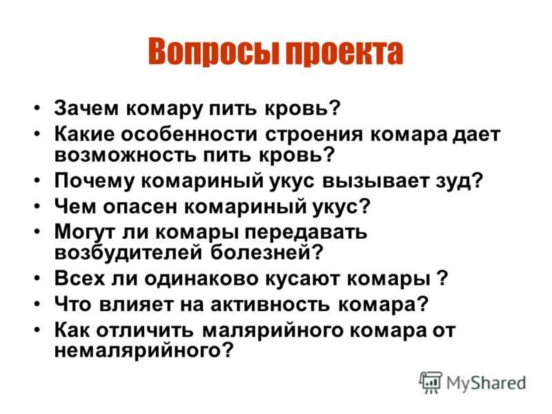 Зачем комары пьют кровь человека: для чего кусают, взаимосвязь с размножением