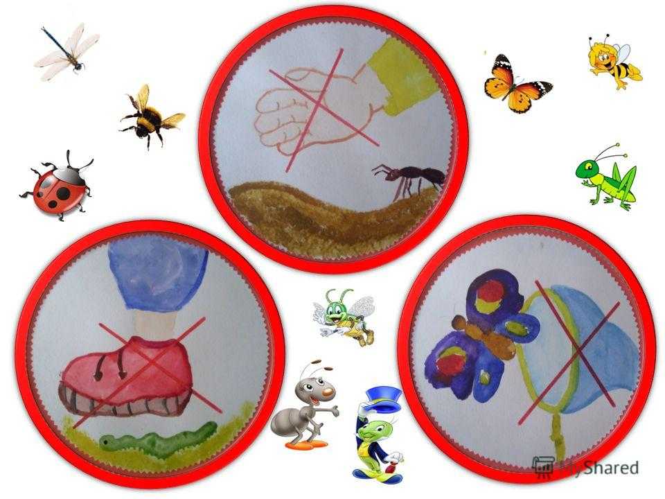 Тема насекомые в доу. Насекомые картинки для детей. Насекомые для дошкольников. Иллюстрации насекомых для детского сада. Насекомые для детей младшей группы.