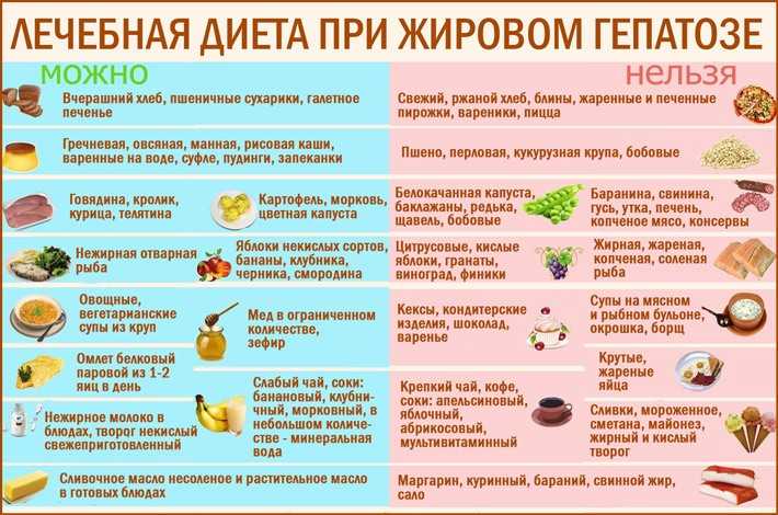 Что едят божьи коровки? чем питаются божьи коровки зимой, в доме