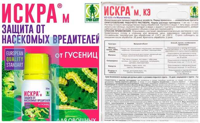 Как избавиться от тли — 5 лучших способов