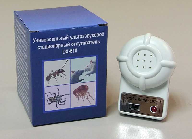 Обзор ультразвуковых отпугивателей муравьев - отзывы и принцип работы