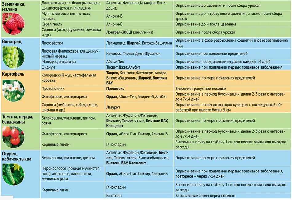 Схема обработки сада с весны до осени