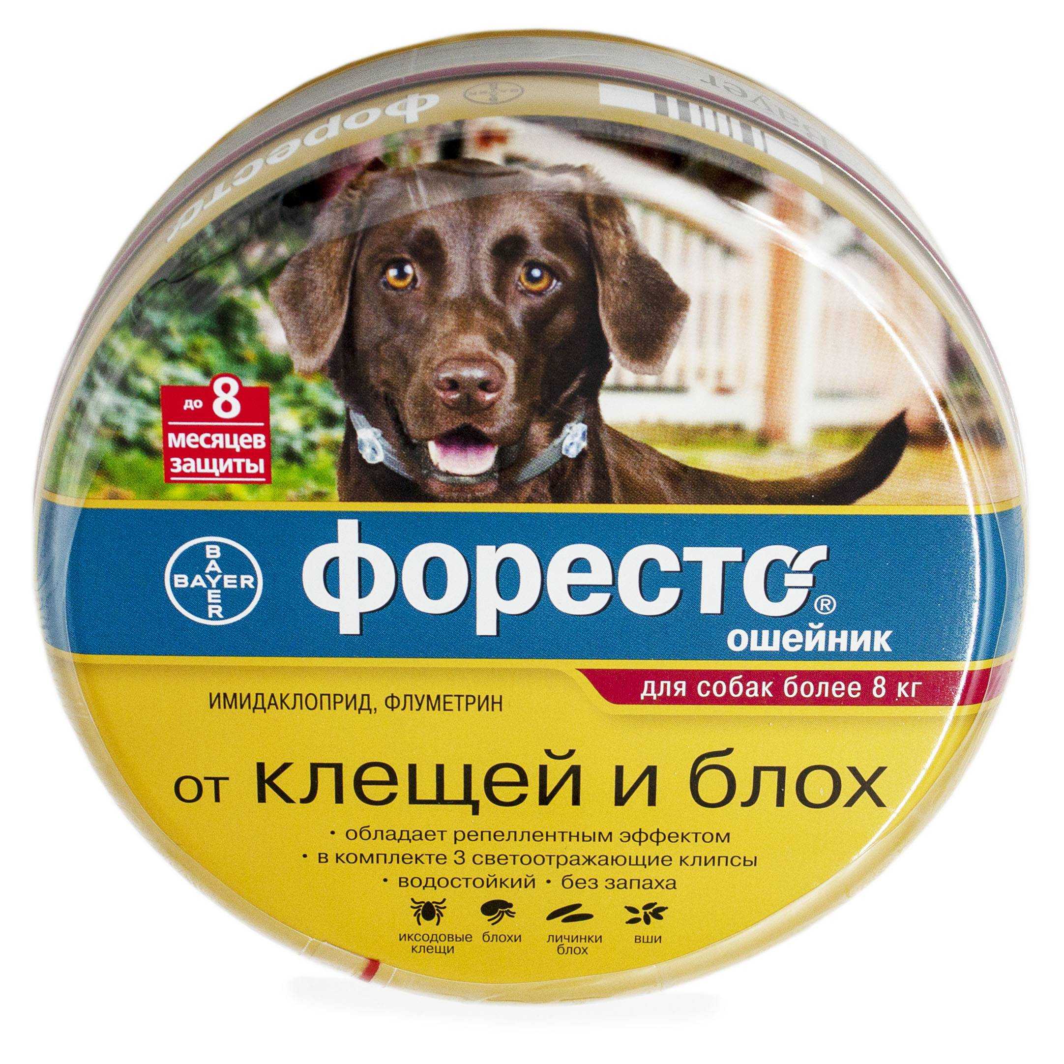 ᐉ как защитить собаку от комаров? - ➡ motildazoo.ru