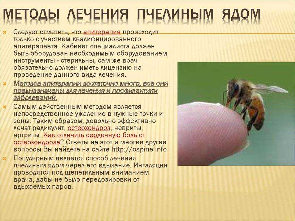 Лечение пчелиным ядом