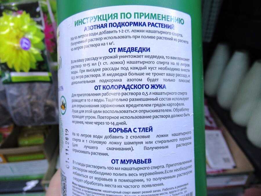 Виды тли — белая, зеленая, оранжевая, черная и другие разновидности