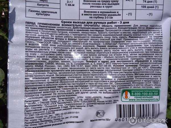 Как прогнать муравьев с участка: профилактика, народные и профессиональные методы борьбы с вредителями