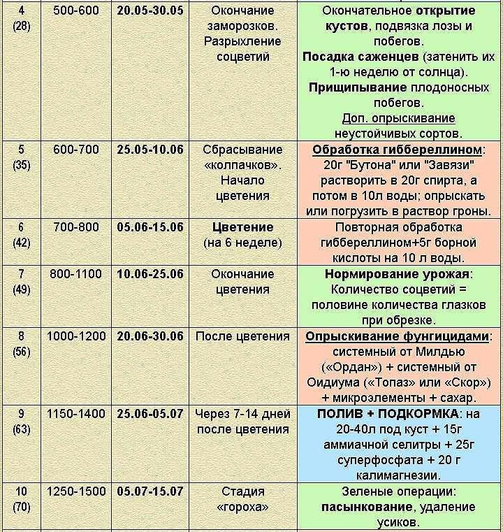 Как бороться с милдью винограда ложная мучнистая роса: действия при обнаружении грибка, инструкция по применению эффективных препаратов, народные способы