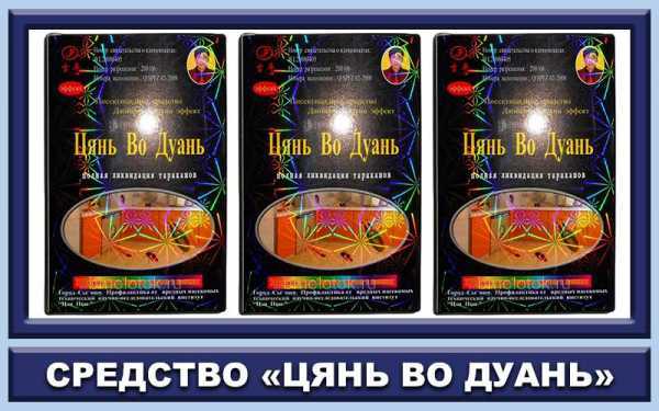 Шприц гель от тараканов «чистый дом» - химический состав и преимущества препарата