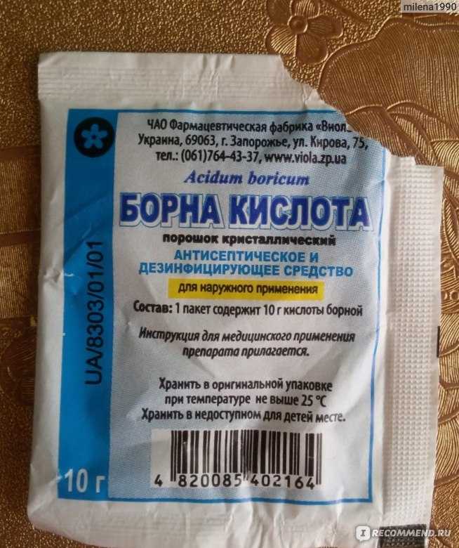 Как избавиться от тараканов: 12 народных средств и эффективных способов