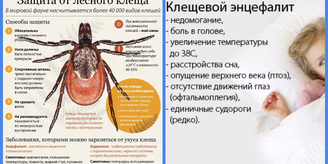 Клещевой энцефалит клиническая картина