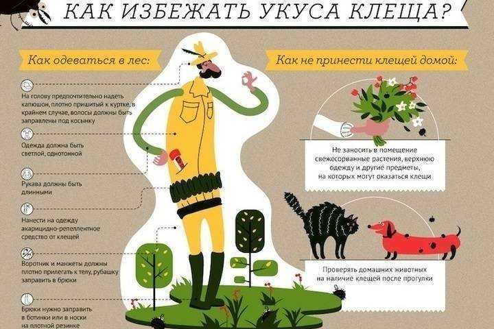 Клещевой боррелиоз