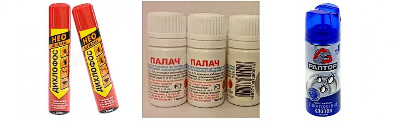 Помогает ли дихлофос от клопов? инструкция по применению