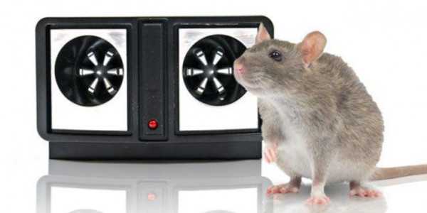 Выбираем лучшие отпугиватели мышей и крыс 2022 года
