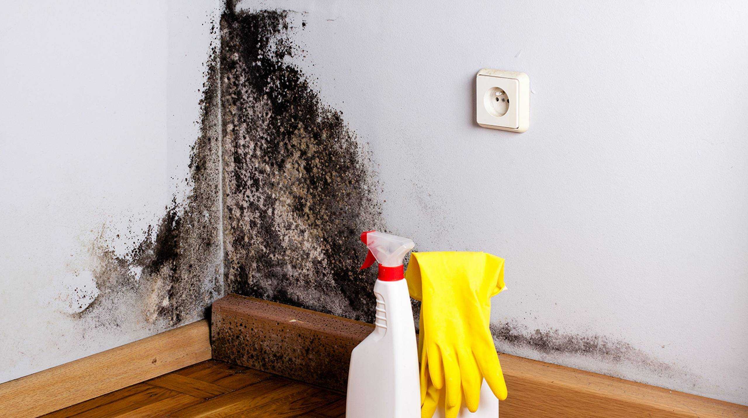 Как уменьшить влажность в квартире: можно ли снизить содержание воды в воздухе народными средствами