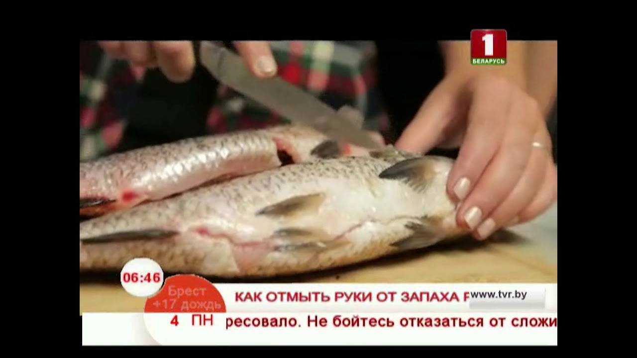 Вода воняет рыбой. Как избавиться от запаха рыбы. Как избавиться от запаха рыбы на руках. Почему руки воняют рыбой.