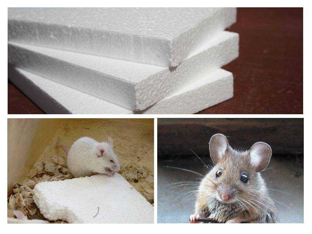 Какой утеплитель не едят крысы и мыши